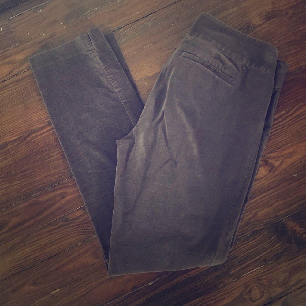 Ann Taylor Loft Velvet Marisa Skinny - Brown